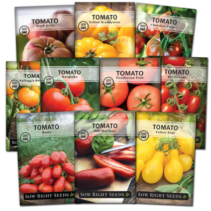Sow Right Seeds Brandywine Yellow tomato seeds for rich heirloom flavor in home gardens