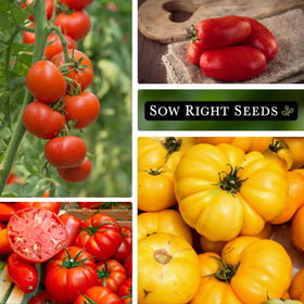 Sow Right Seeds Rio Grande tomato seeds for versatile cooking and midwest adaptability