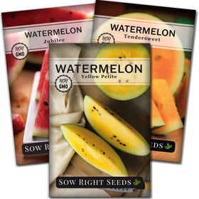 Sow Right Seeds Tri-Color Watermelon Seed Collection packets ready for planting in a sunny garden.