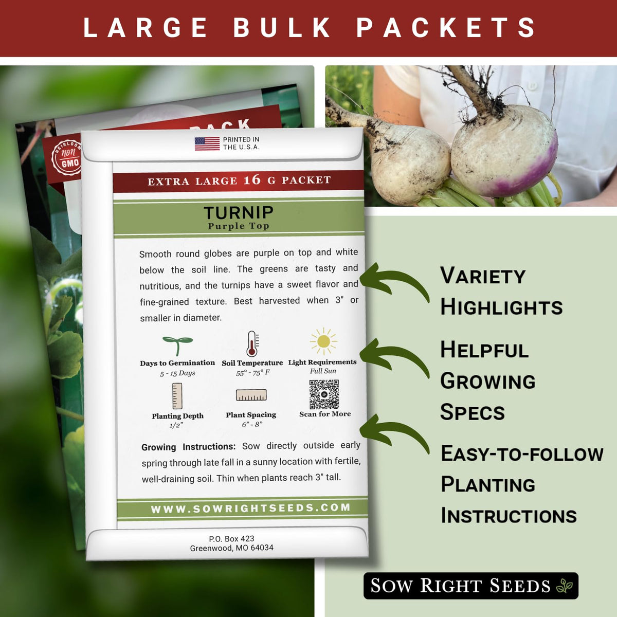 Sow Right Seeds turnip seeds germination in warm soil for early harvest