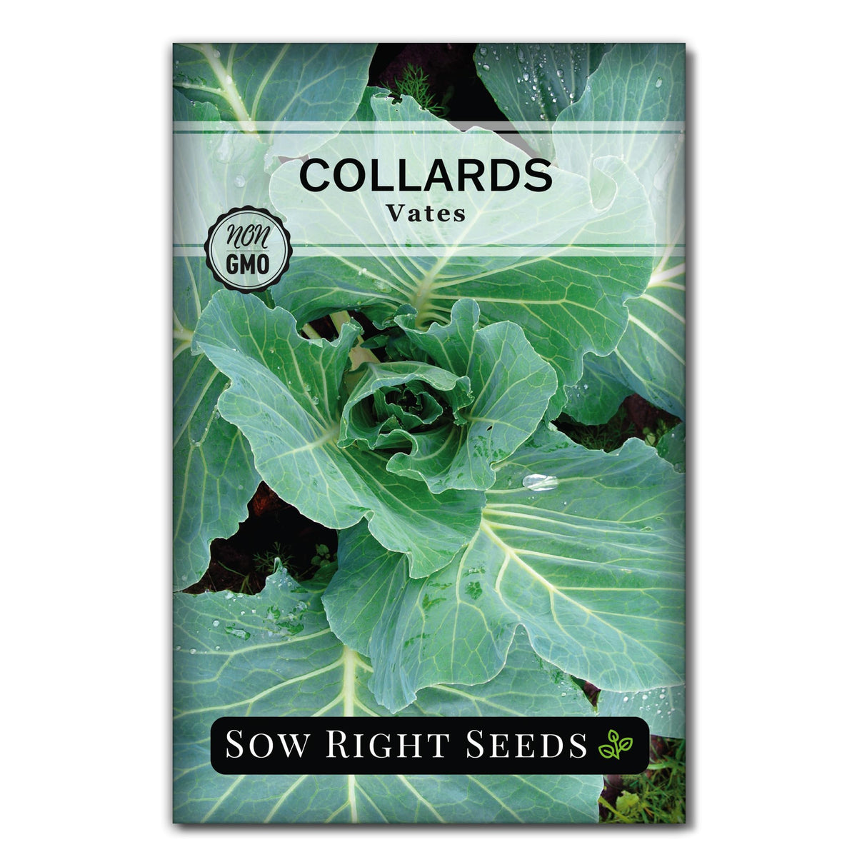 Sow Right Seeds Vates collards seed packet for a home garden with high yields