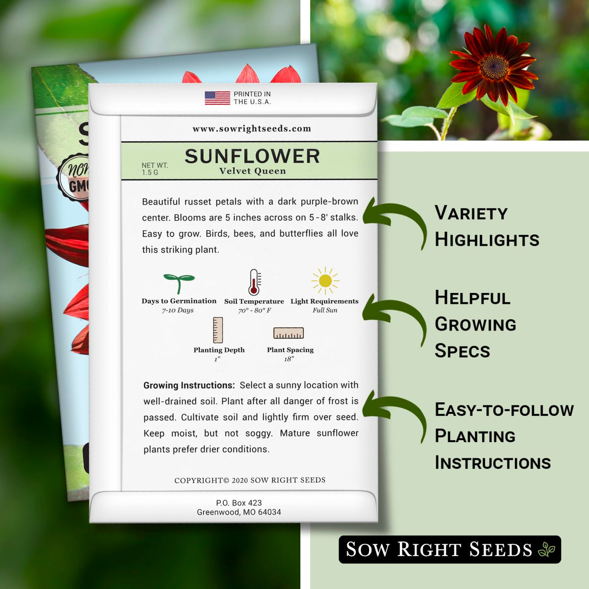 Sow Right Seeds Velvet Queen flower row shows tall stems for garden drama