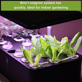 Sow Right Seeds watercress packet for fast, fresh greens indoors