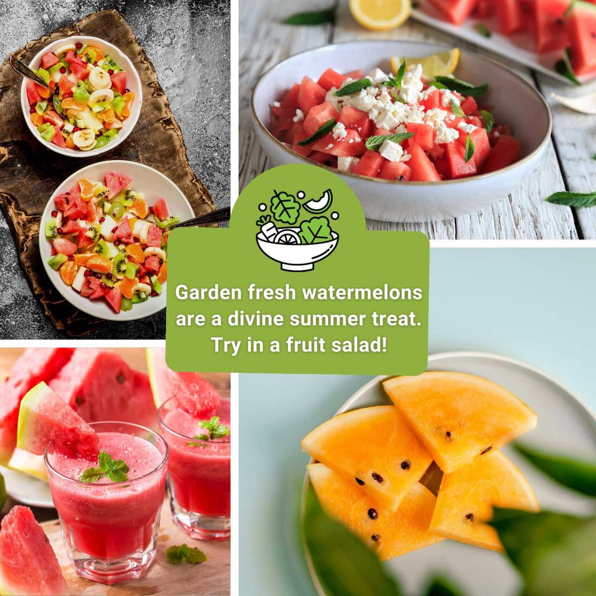 Sow Right Seeds garden setup for growing watermelons in a backyard.