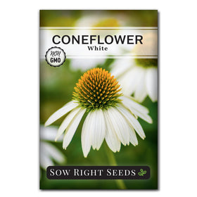 Sow Right Seeds white coneflower seeds ready for sowing in sunlit beds.
