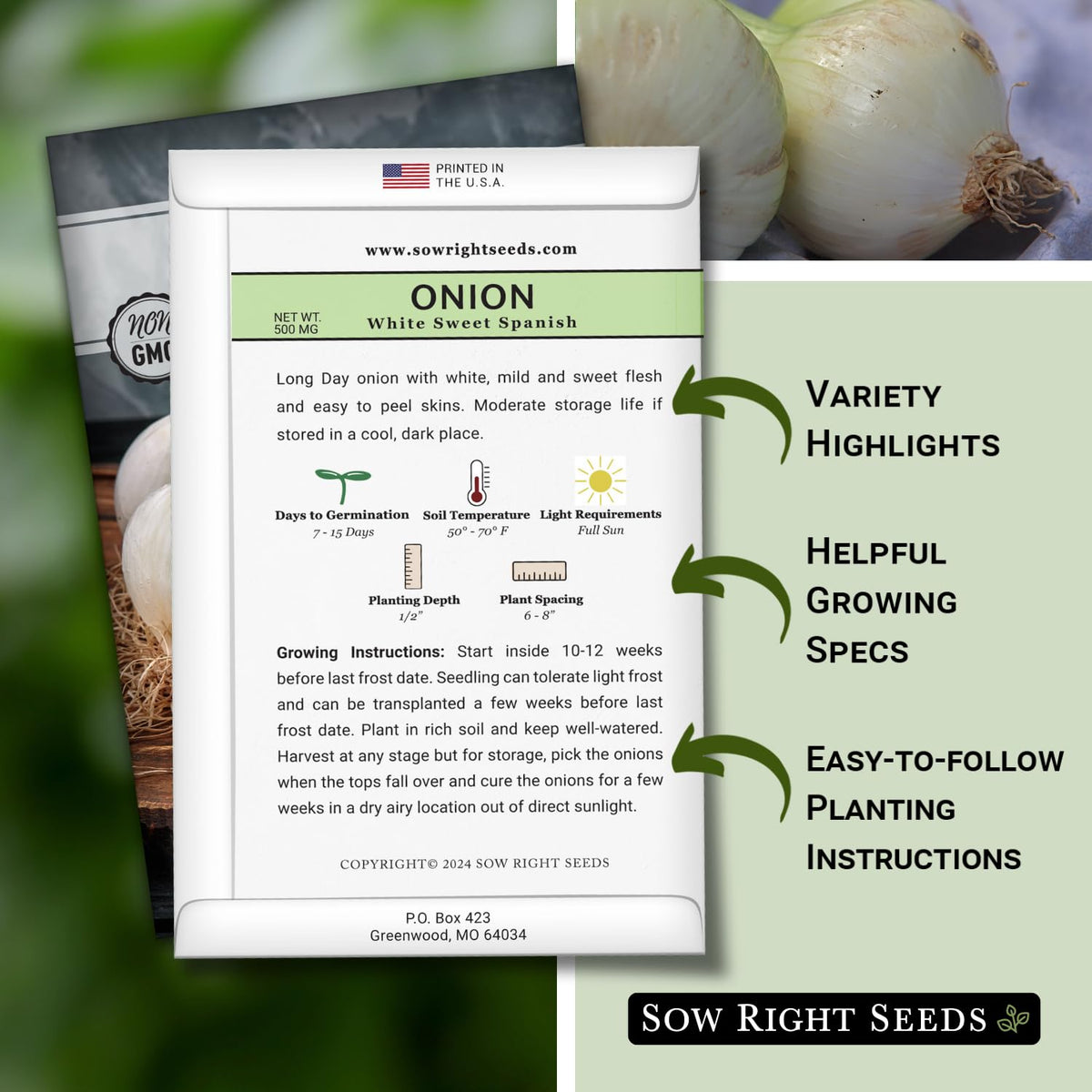 Sow Right Seeds White Sweet Spanish Onion seed closeup showing heirloom seeds