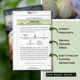 Sow Right Seeds White Sweet Spanish Onion seed closeup showing heirloom seeds