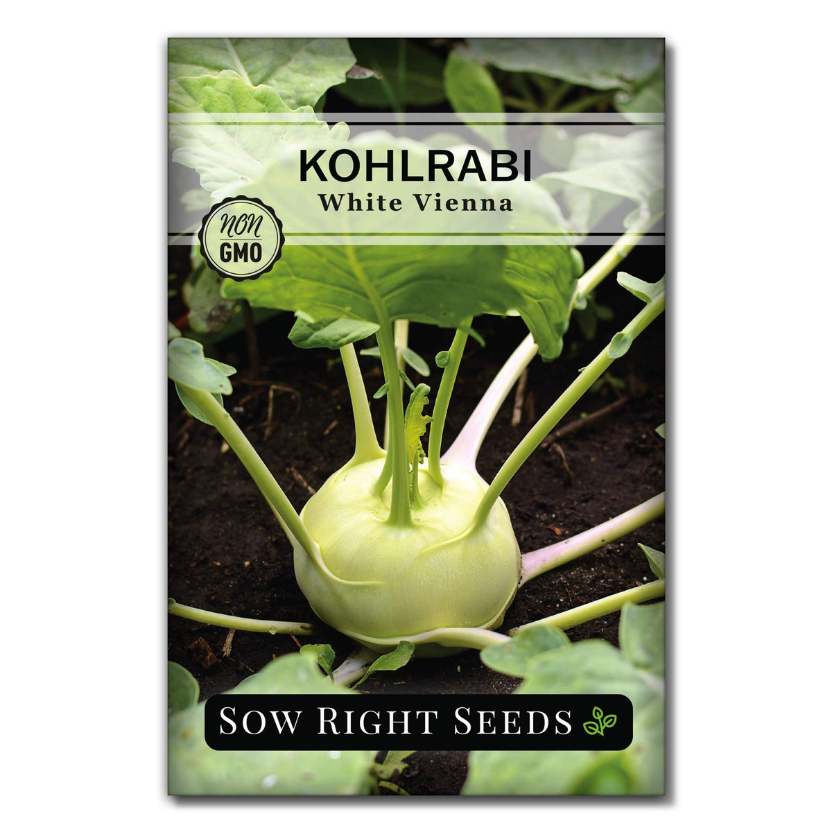 Sow Right Seeds White Vienna Kohlrabi seed packet ready for planting in home gardens for fresh harvests.