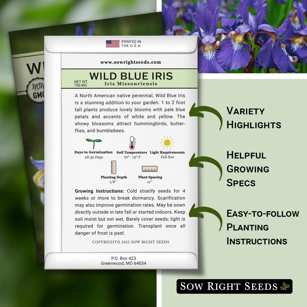 Sow Right Seeds wild blue iris blooms close-up showing pale blue petals