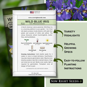 Sow Right Seeds wild blue iris blooms close-up showing pale blue petals
