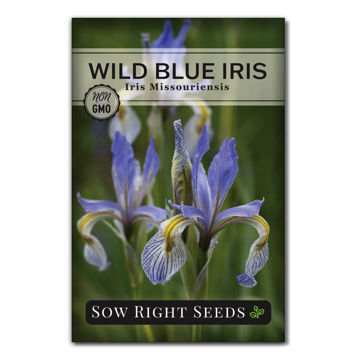Sow Right Seeds wild blue iris seed packet for native garden planting