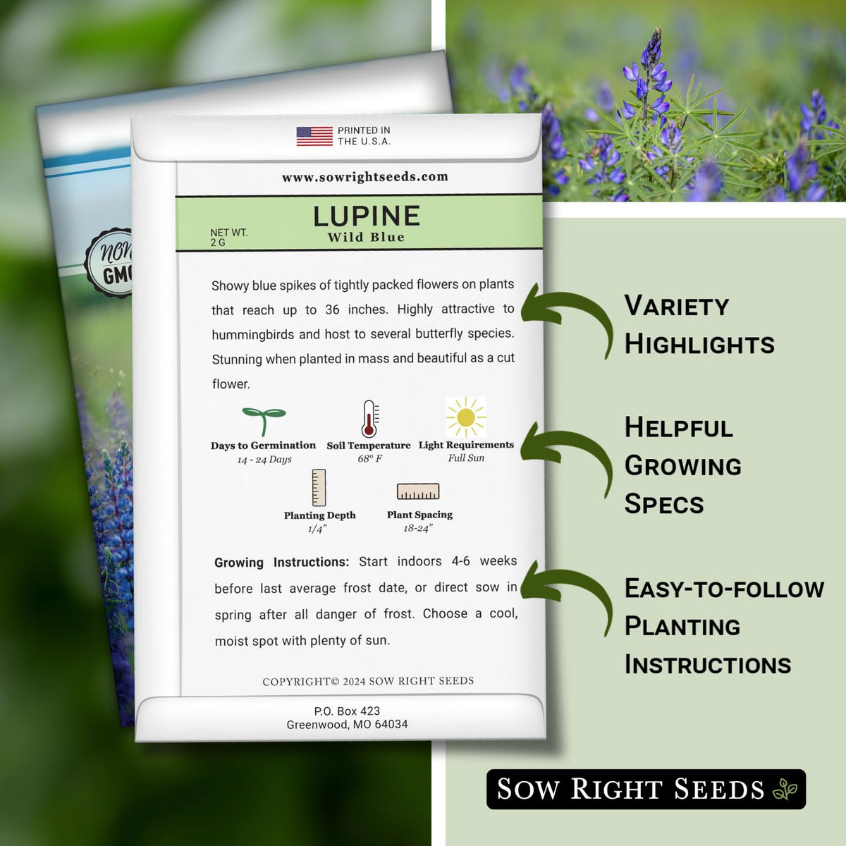 Sow Right Seeds Wild Blue Lupine blue spikes in bloom—showy color for borders.