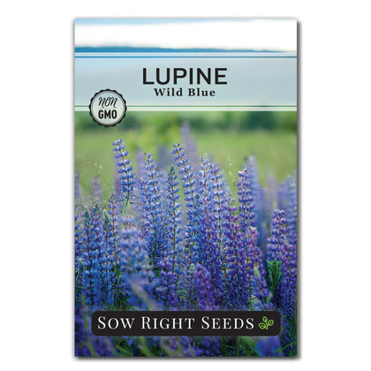 Sow Right Seeds Wild Blue Lupine seeds packet for easy planting and bright blooms.