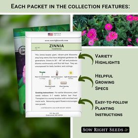 Sow Right Seeds Wild Violet Petunia seeds—pink blooms for borders and containers.