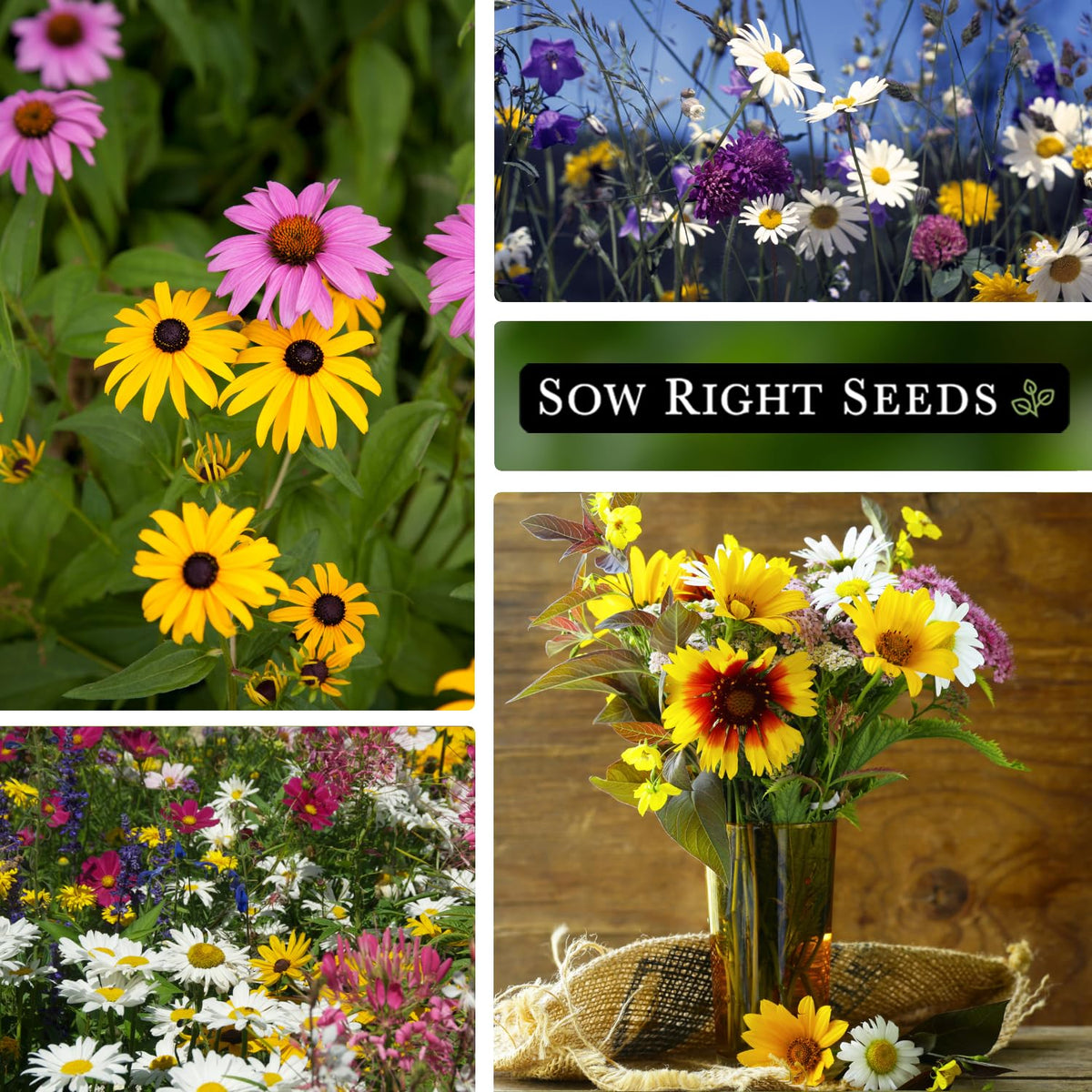 Sow Right Seeds Midwest garden setup—perennial and annual color setup.