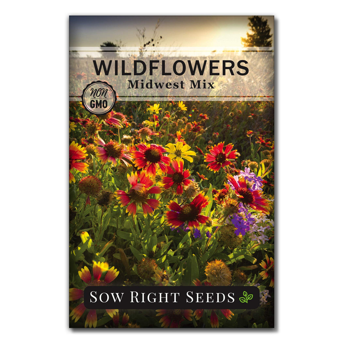 Sow Right Seeds Midwest wildflower mix packet front view—vibrant blooms for pollinators.