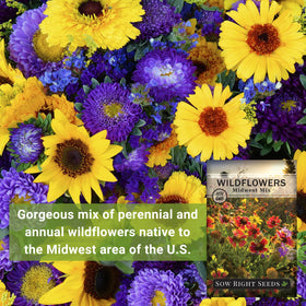 Sow Right Seeds Midwest pollinator-friendly display—supports bees and butterflies.