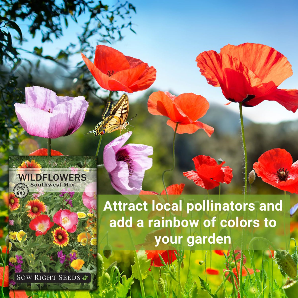 Sow Right Seeds Southwest wildflowers mix delivers sun-loving color with minimal watering.