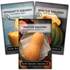 Sow Right Seeds winter squash spaghetti seed pack for roasting and baking at home