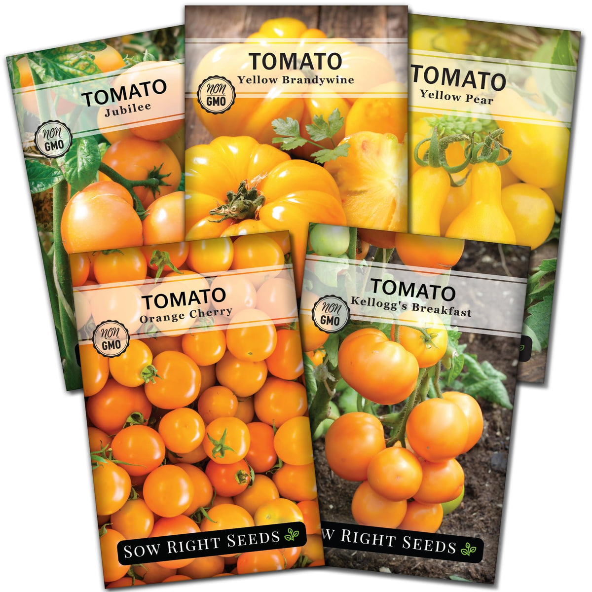 Sow Right Seeds Yellow Brandywine on the vine, ideal for fresh slices and salads.