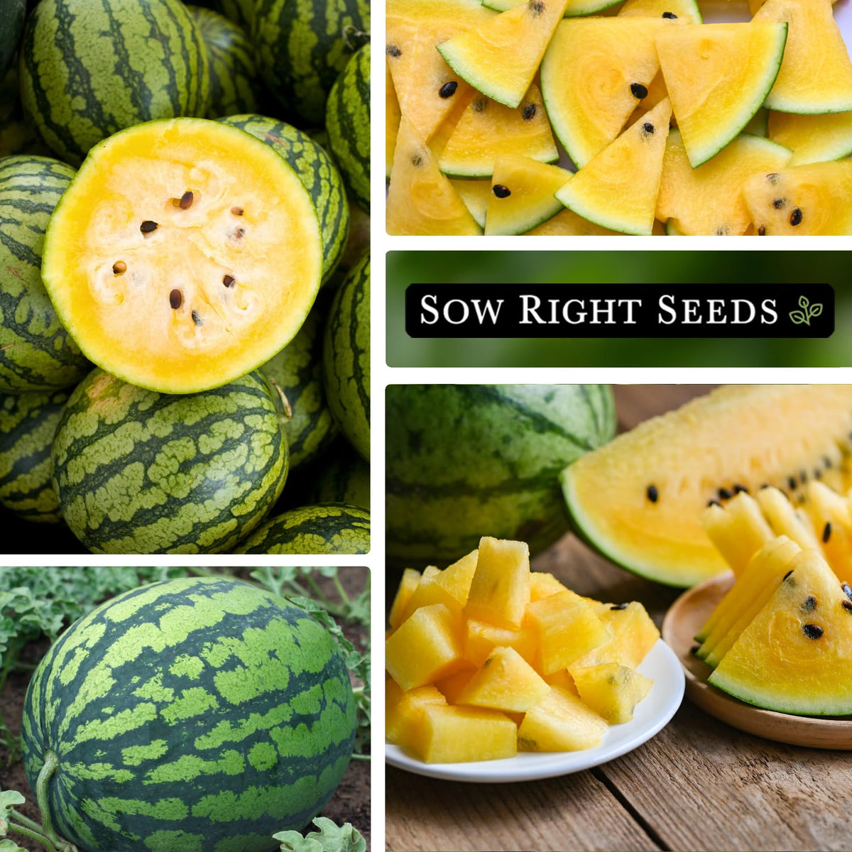 Sow Right Seeds Yellow Crimson Sweet yellow flesh close-up—vivid interior for fresh slices.