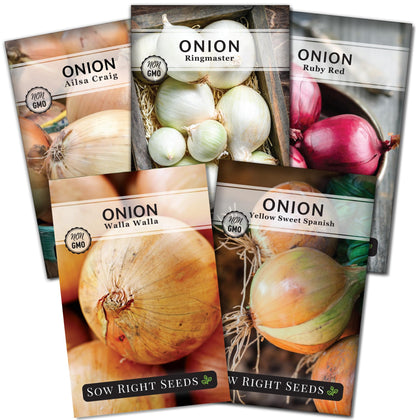 Sow Right Seeds Yellow Sweet Spanish onion packet for easy home garden planting and flavorful harvests
