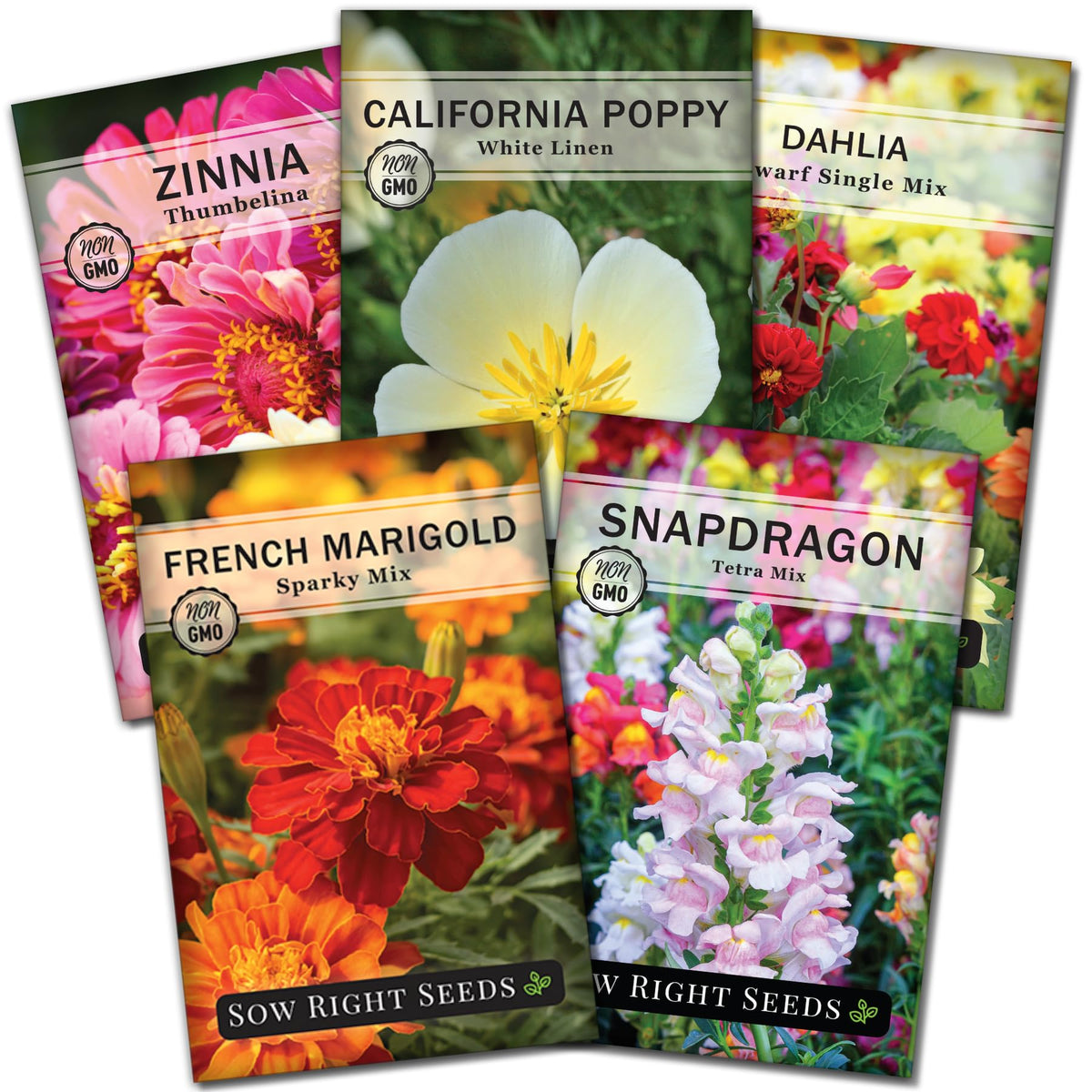 Sow Right Seeds Zinnia Thumbelina packet showcasing compact blooms for bright border accents.