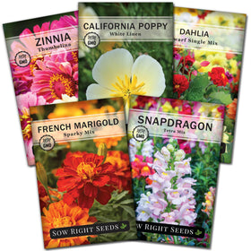 Sow Right Seeds Zinnia Thumbelina packet showcasing compact blooms for bright border accents.