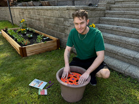 Spaceurseeds kit works well in raised beds, greenhouses, or containers.