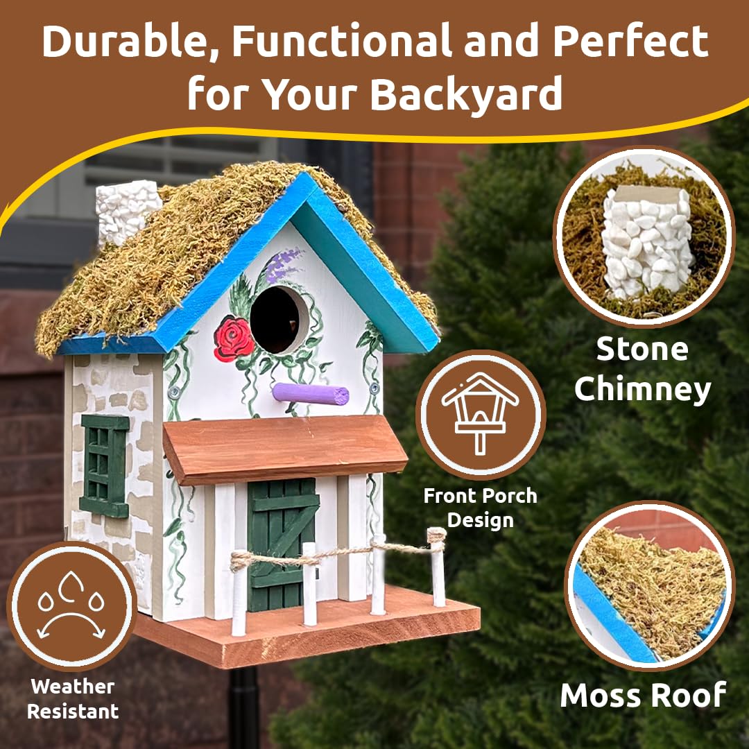 SparkJump Cottage Birdhouse Kit window detail invites birds to survey their surroundings