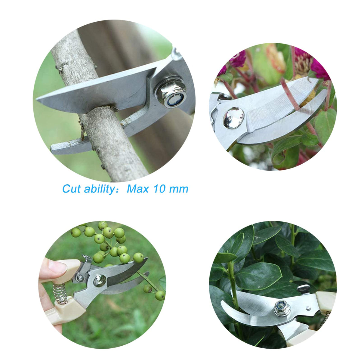 SPDTECH Curve Gardening Scissor flowers-pruning close-up for roses and herbs.