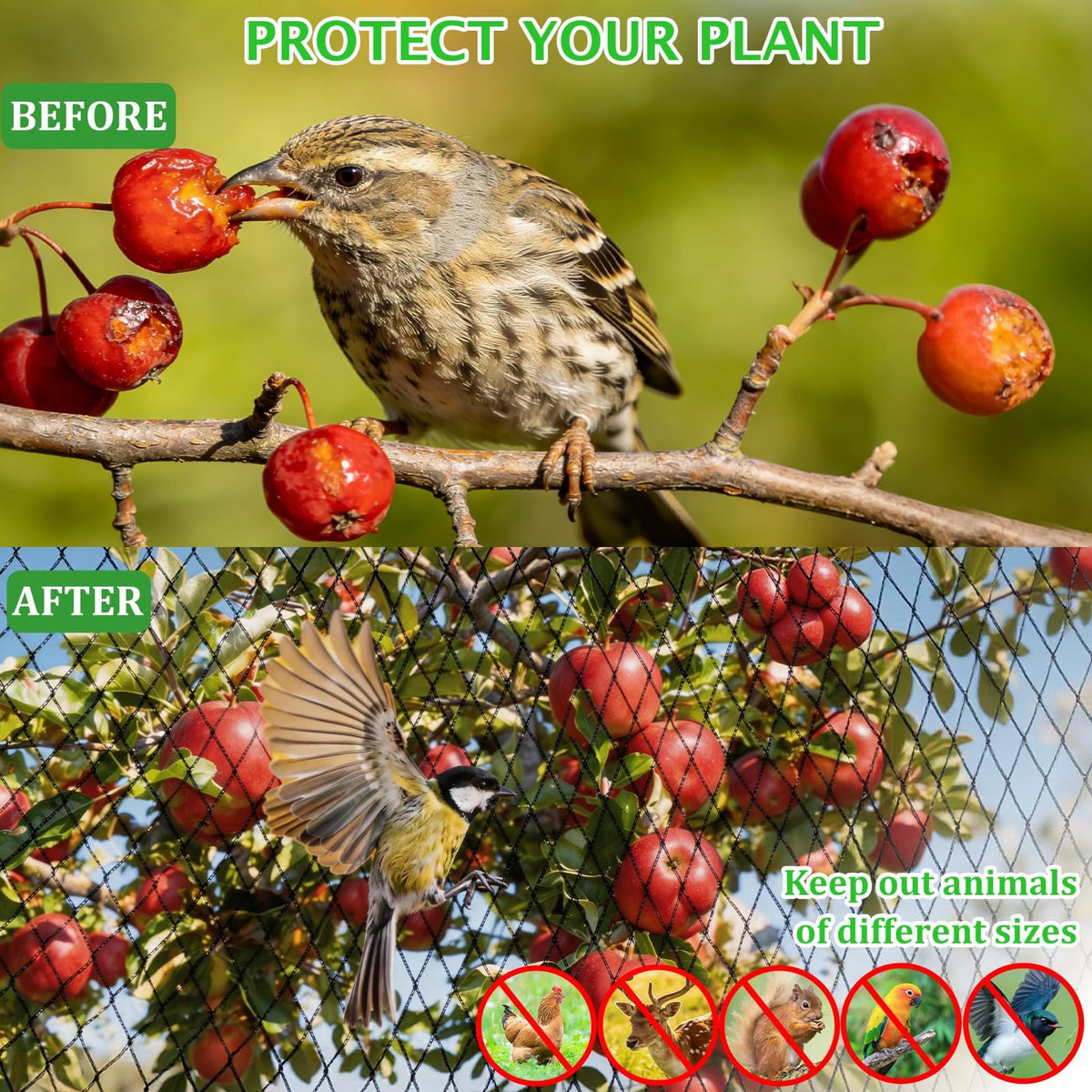 SPECILITE multi-purpose garden netting supports plants, trees, ponds, and raised beds.