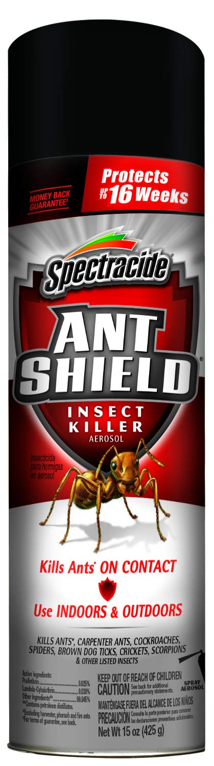 Spectracide Ant Shield Aerosol bottle for fast indoor and outdoor ant control.