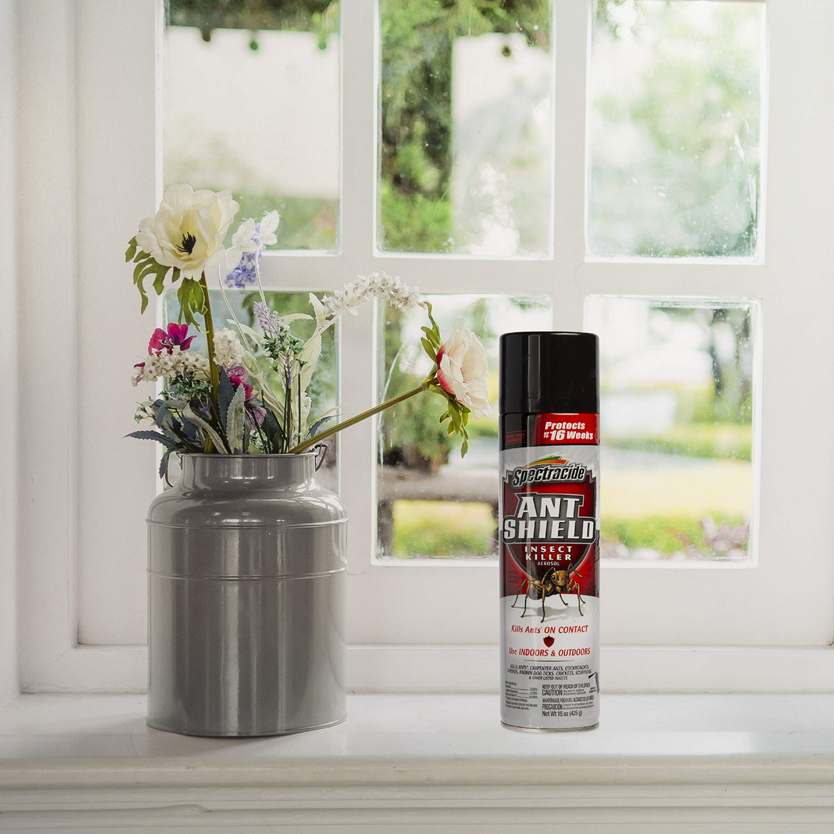 Spectracide Ant Shield Aerosol near doors and windows for pest protection