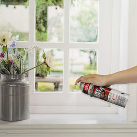 Spectracide Ant Shield Aerosol outdoor-use spray protects entryways and ant trails.
