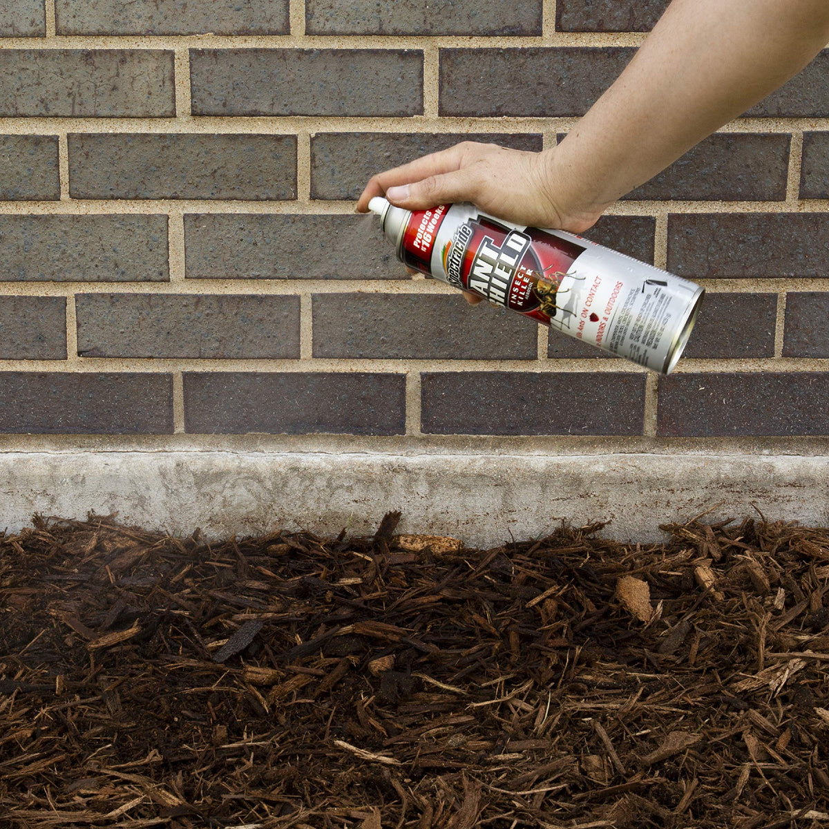 Spectracide Ant Shield Aerosol treats cracks and hidden pest entry points.
