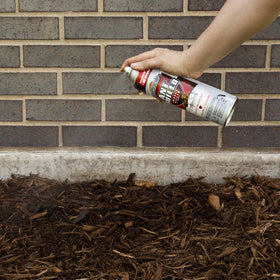 Spectracide Ant Shield Aerosol treats cracks and hidden pest entry points.