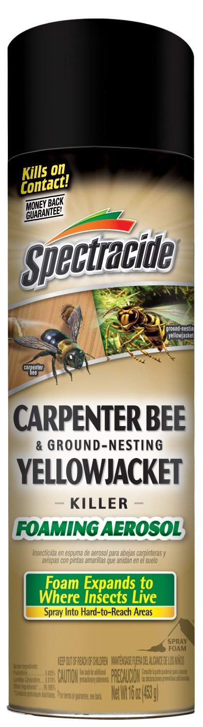 Spectracide Carpenter Bee Foaming Aerosol with extension tube targets hidden nests for efficient treatment.