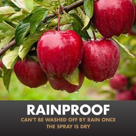 Spectracide Immunox used on fruits and vegetables to protect harvests