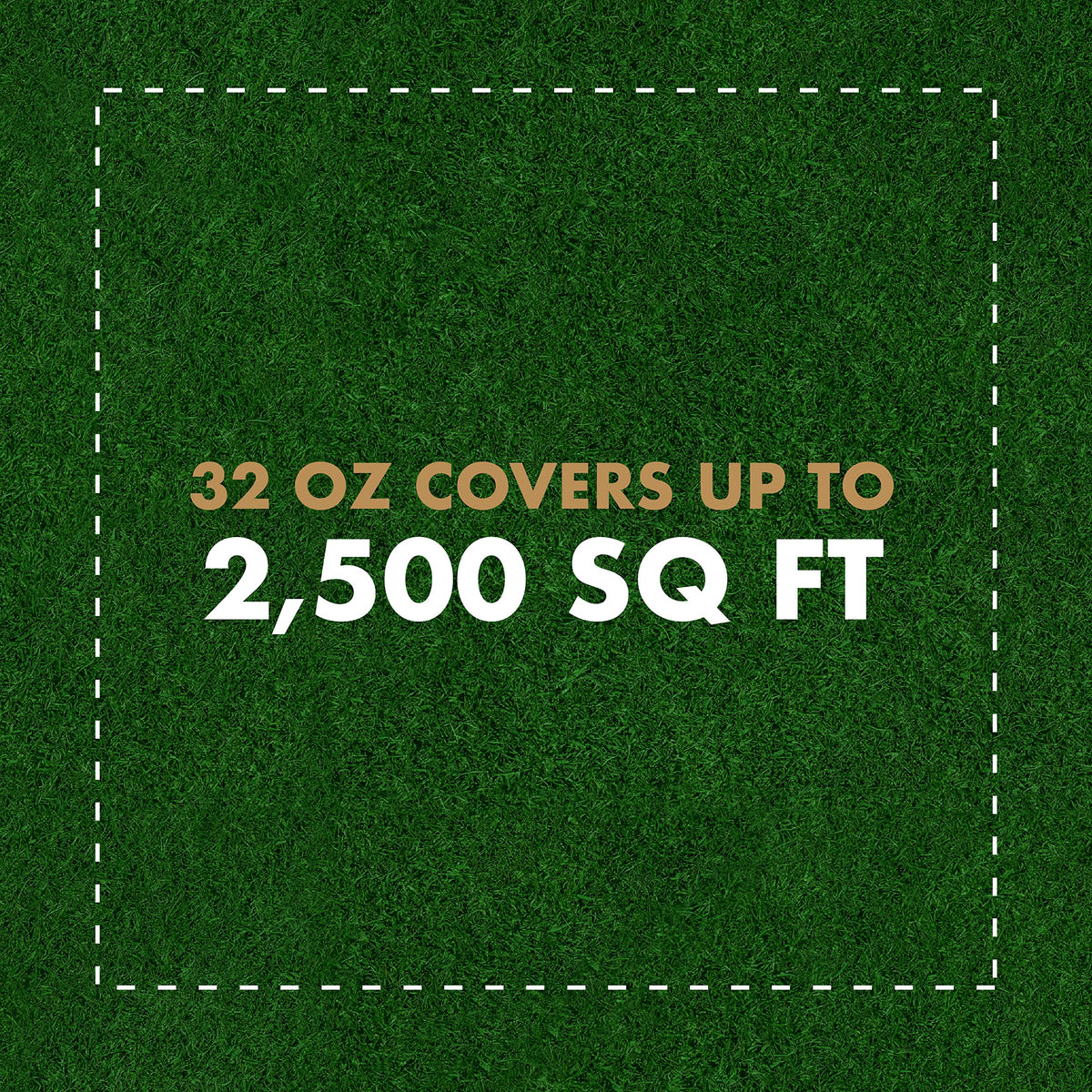 Spectracide Immunox Fungus Plus controls major lawn diseases on contact.