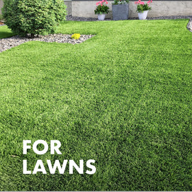 Spectracide Immunox kills listed lawn insects on contact.