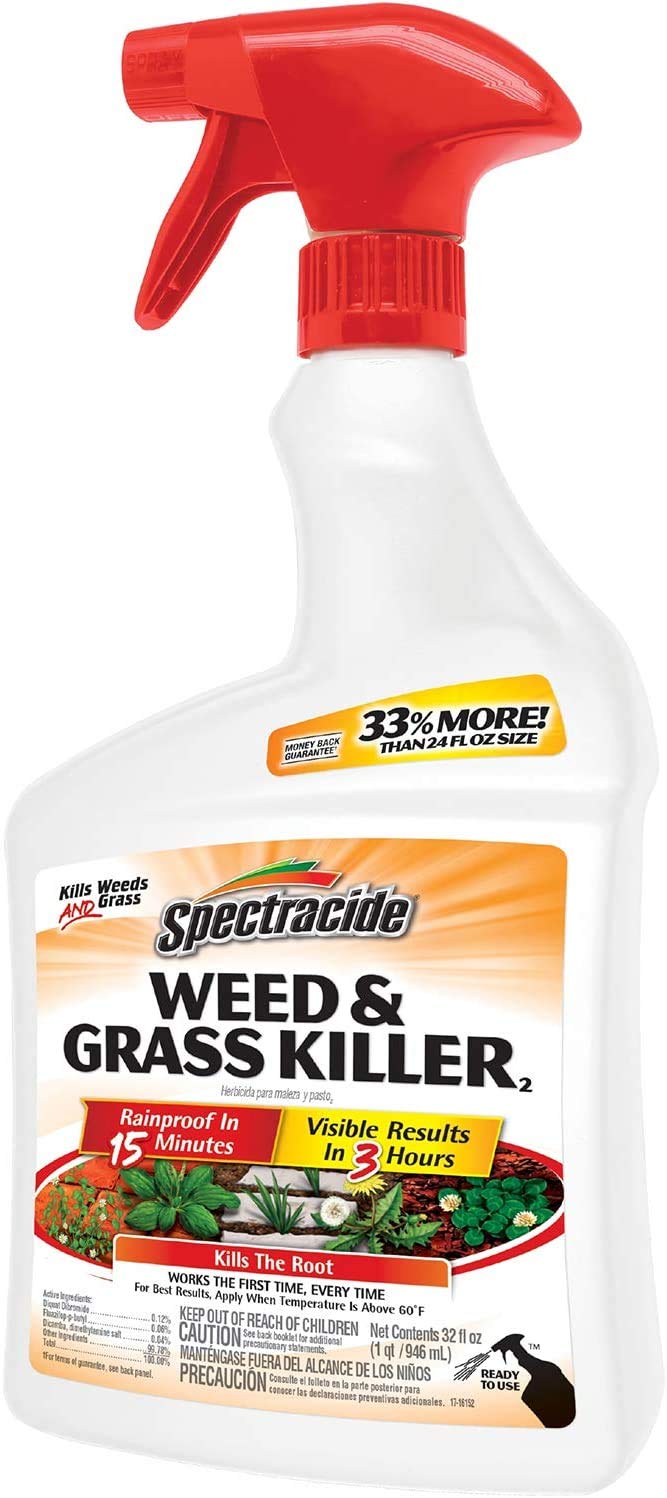 Spectracide weed killer spray action demonstrates easy application on beds and paths.