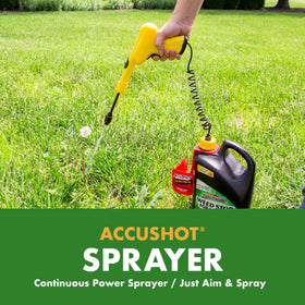 Close-up of Spectracide Weed Stop for Lawns killing weeds at the root level