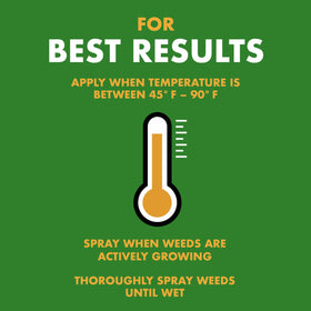 Weed leaves showing signs of root kill after Spectracide treatment