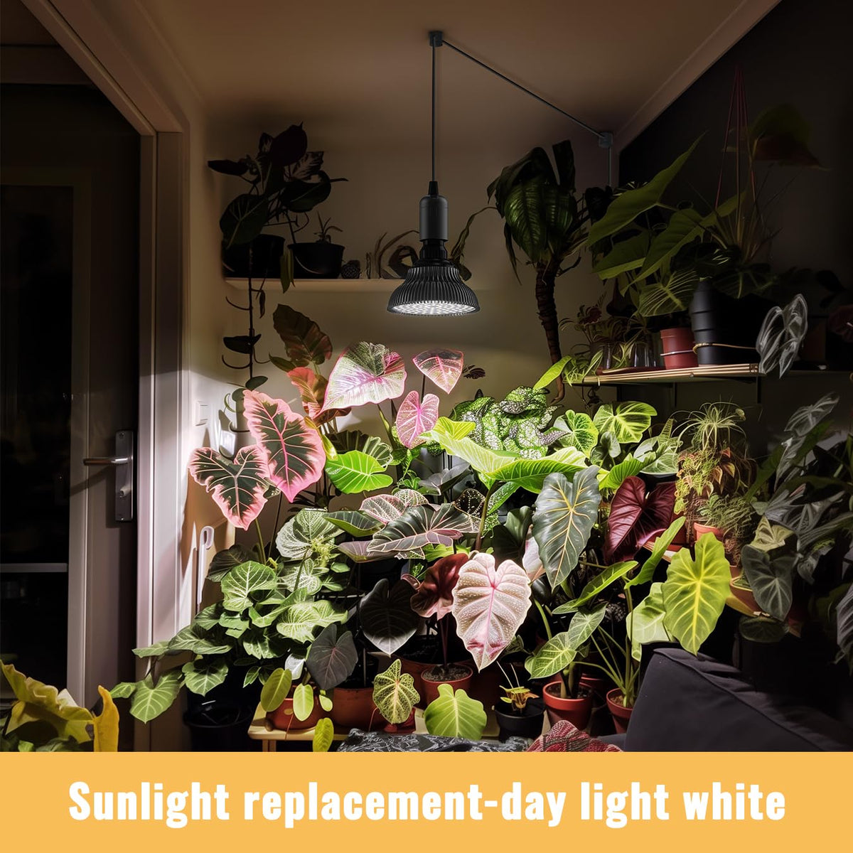 SpeePlant full-spectrum LED pendant illuminates indoor greens evenly