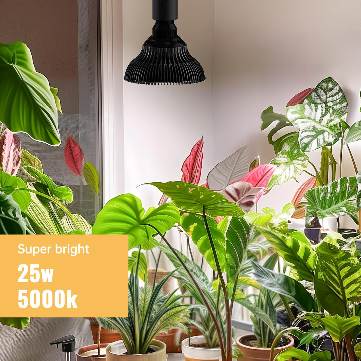 SpeePlant hanging light with timer enables auto cycles for plants