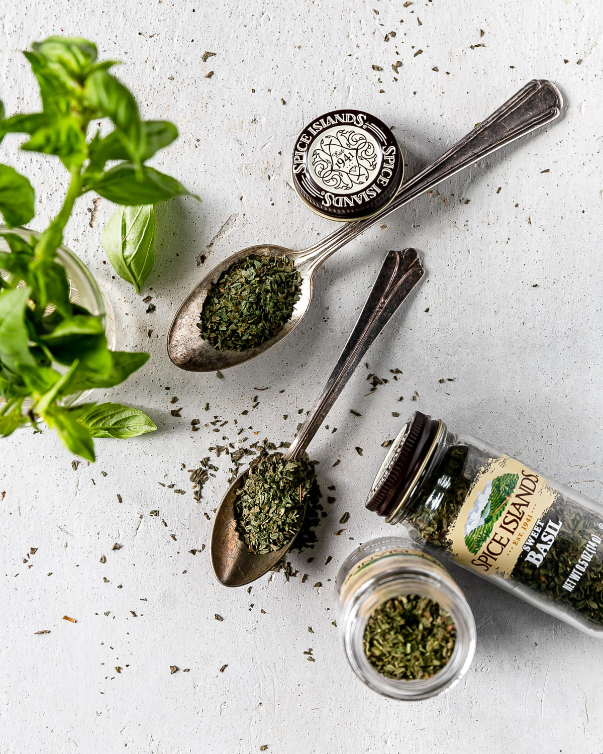 Spice Islands Sweet Basil Caprese-inspired dish captured to illustrate use.