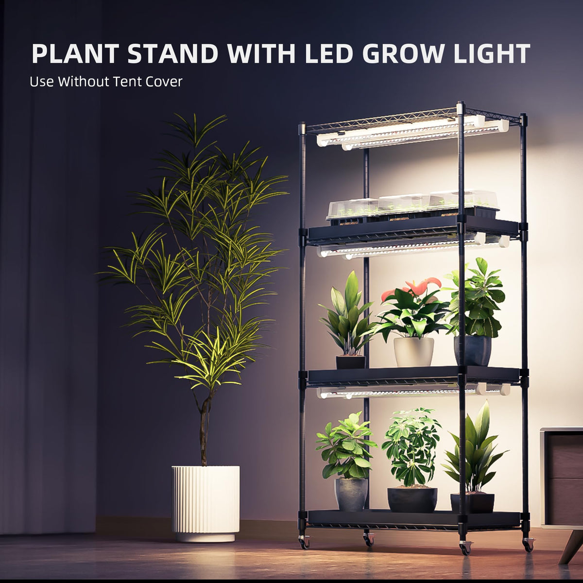 Spider Farmer 2026 height-adjustable stand adapts to plant heights and layouts
