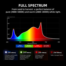 G3000 daisy-chain capability supports scalable multi-light installations.
