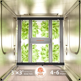5-year warranty and US support for reliable, long-term use.
